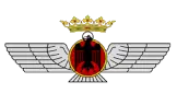 Atlético Aviación logo